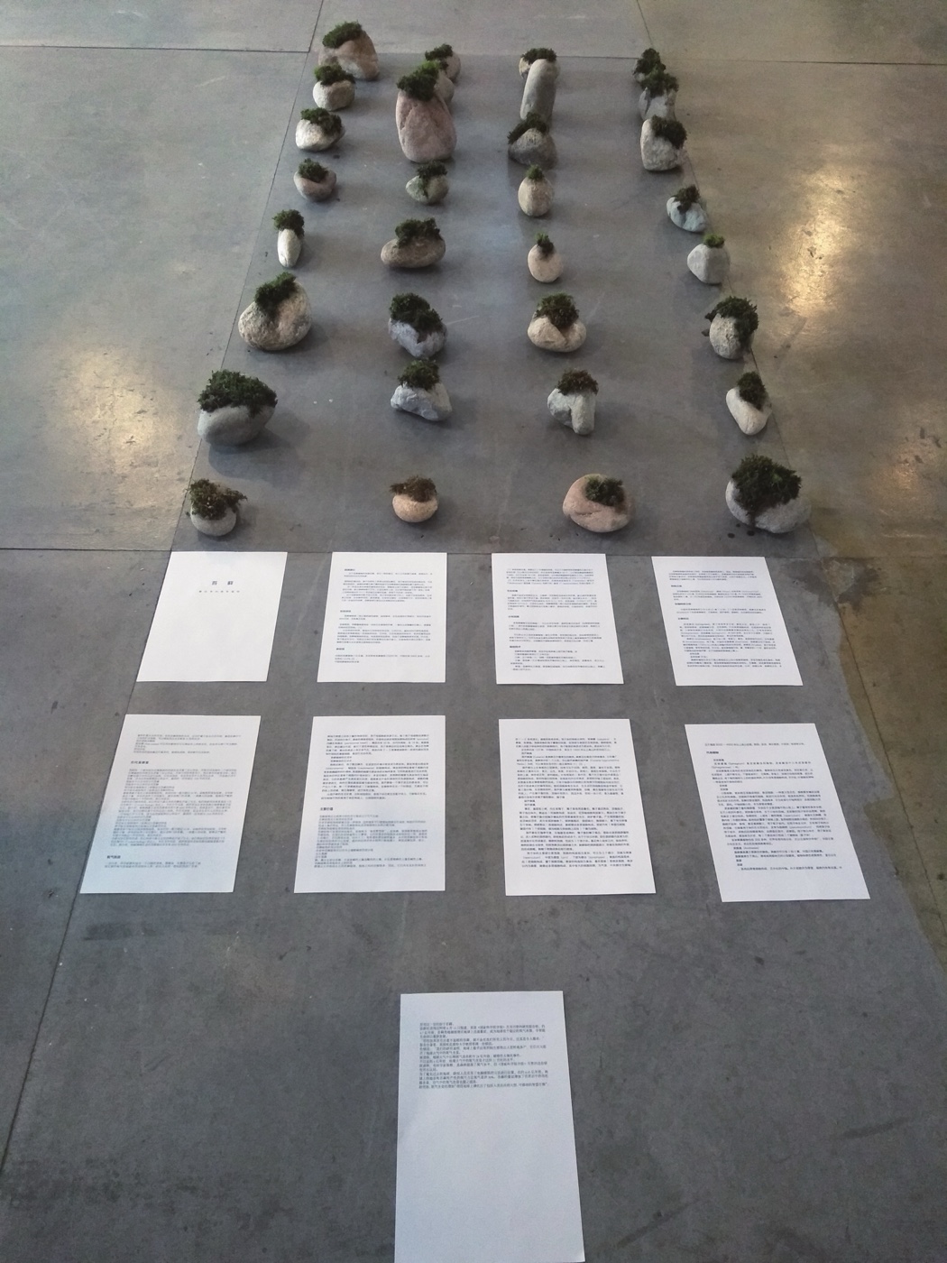 Moss installation overhead — stones and text pages