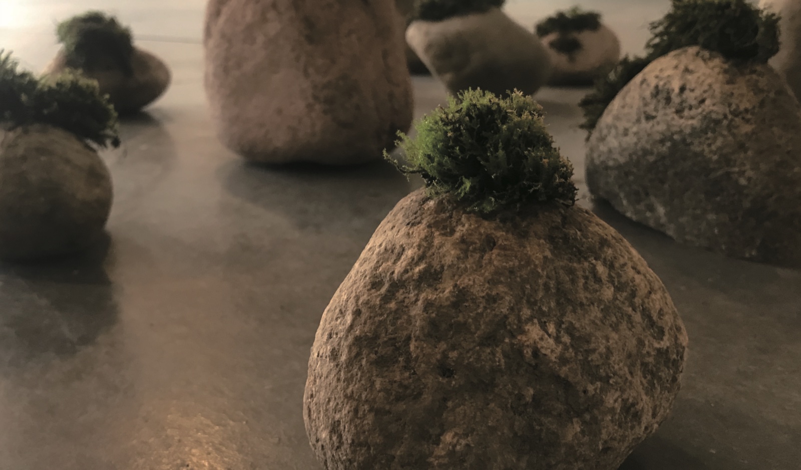 Past Exhibitions — Yukun Sun