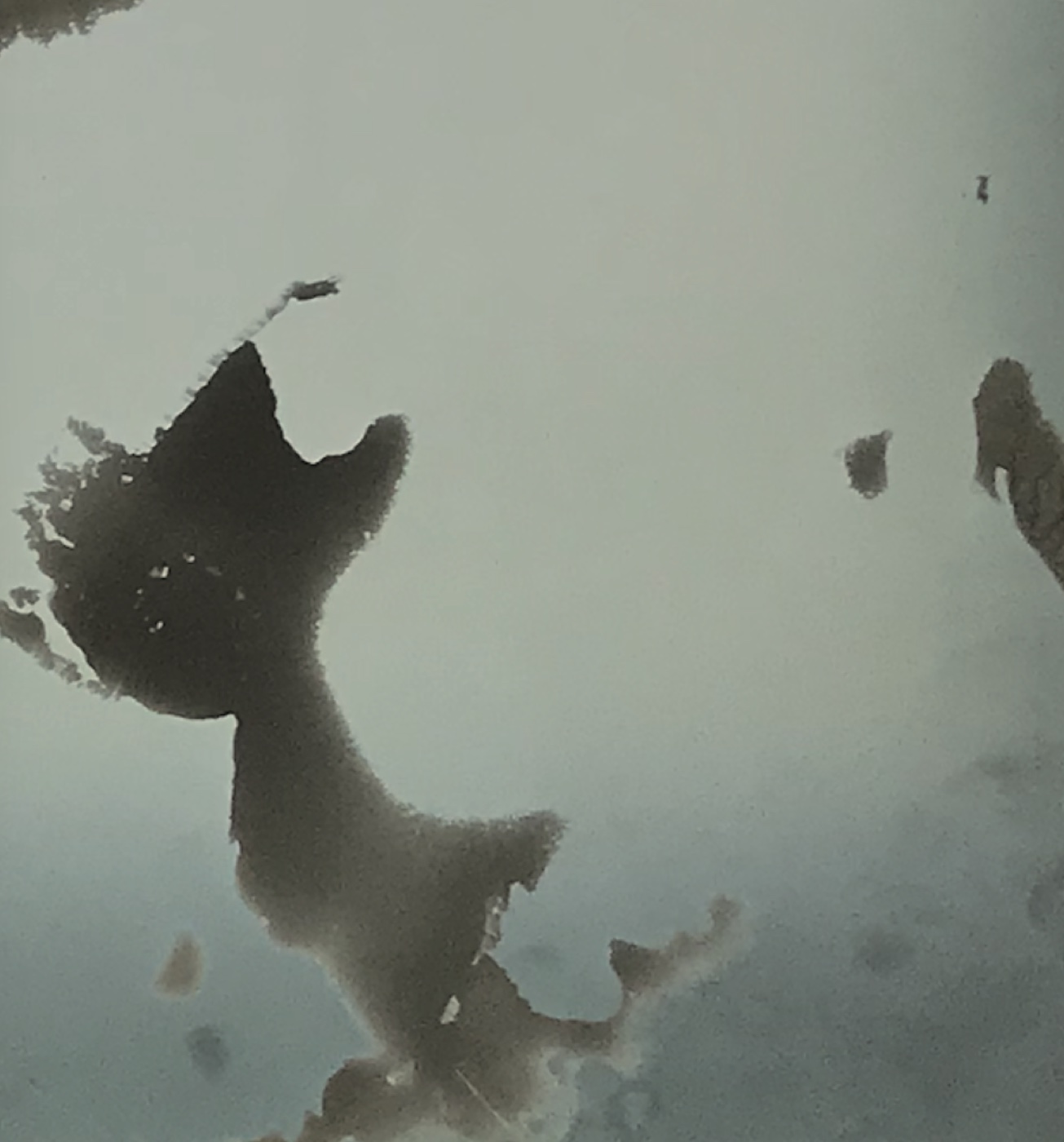 Sequence and Confinement — ink on glass