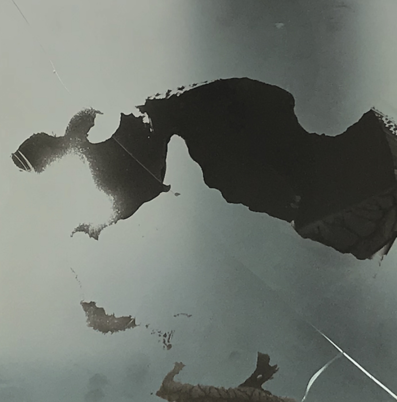Sequence and Confinement — ink on glass