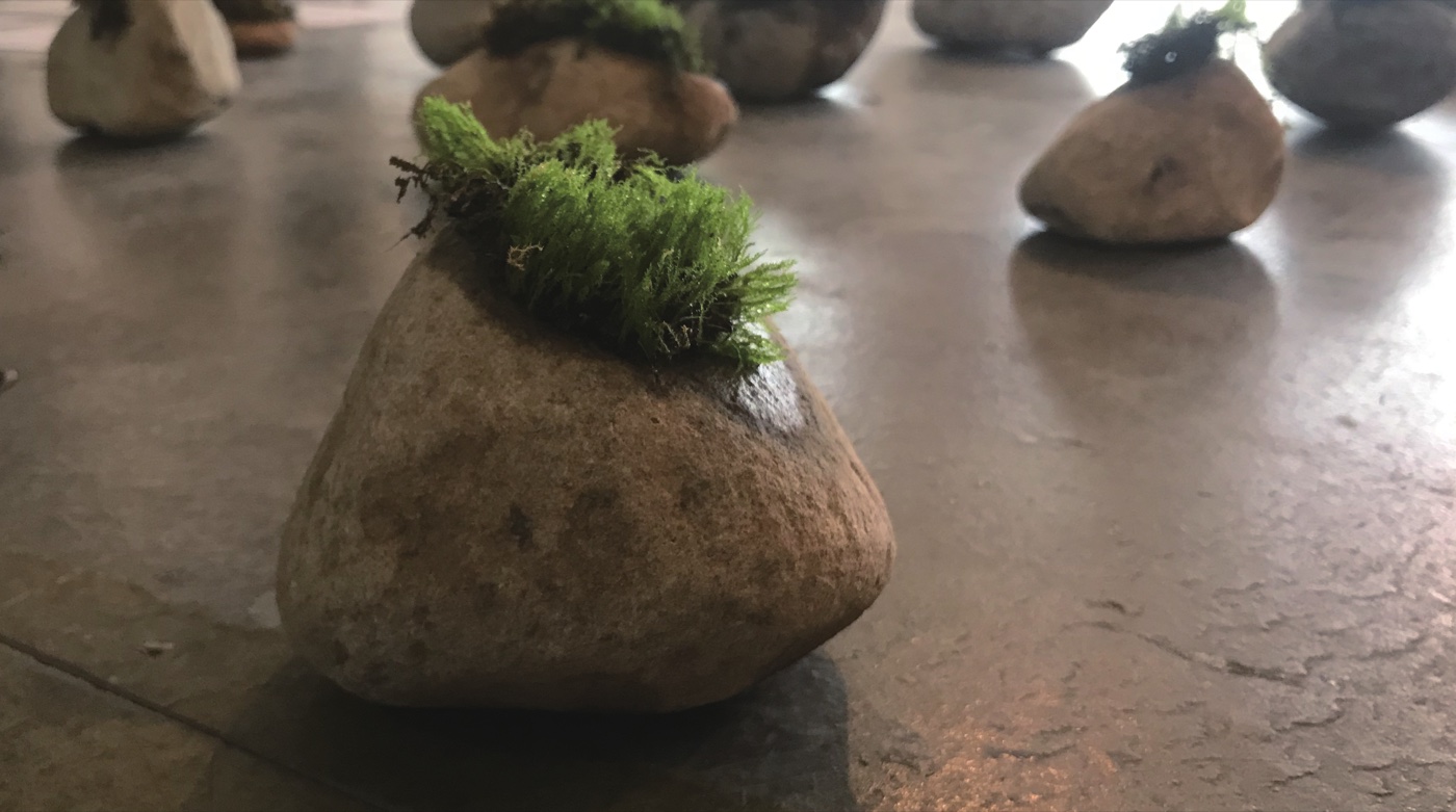Moss — living installation